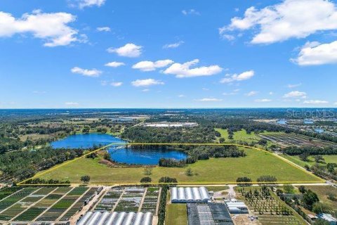 Land in Mount Dora, Florida № 349008 - photo 13