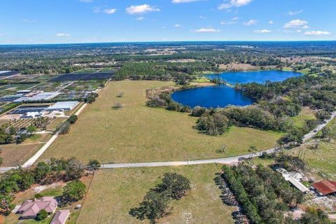 Land in Mount Dora, Florida № 349008 - photo 11