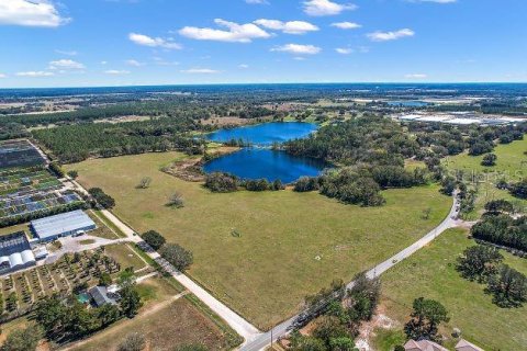 Land in Mount Dora, Florida № 349008 - photo 12