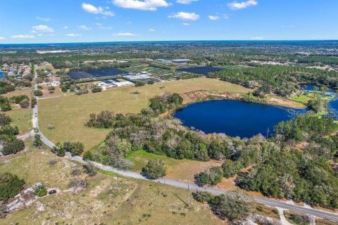 Land in Mount Dora, Florida № 349008 - photo 9