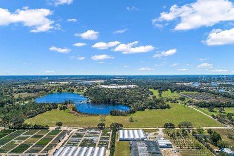 Land in Mount Dora, Florida № 349008 - photo 14