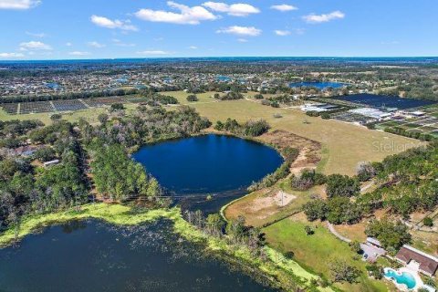 Land in Mount Dora, Florida № 349008 - photo 6