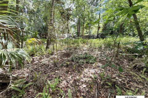 Terrain à vendre à Ocala, Floride № 2211777 - photo 6