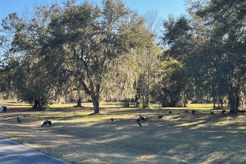 Terreno en venta en Williston, Florida № 2101797 - foto 5