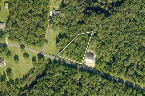 Terrain à Williston, Floride № 2101797