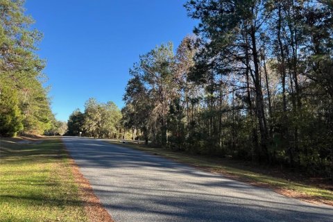 Terreno en venta en Williston, Florida № 2101797 - foto 3