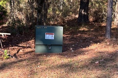 Terreno en venta en Williston, Florida № 2101797 - foto 6