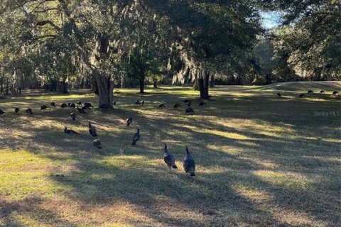 Terreno en venta en Williston, Florida № 2101797 - foto 4