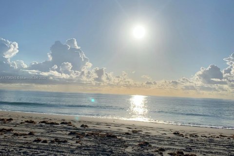 Propiedad comercial en venta en Hollywood, Florida № 1485173 - foto 5