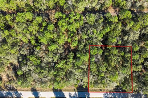 Land in Inverness, Florida № 2159880 - photo 2