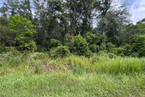 Land in Inverness, Florida № 2159880 - photo 4