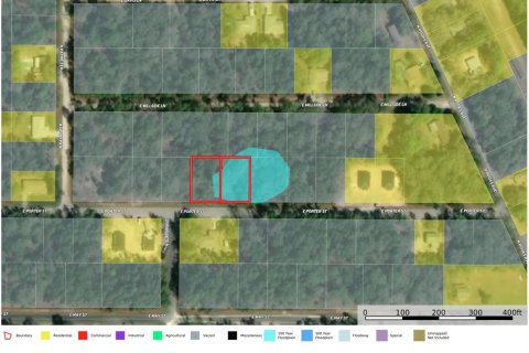 Land in Inverness, Florida № 2159880 - photo 11