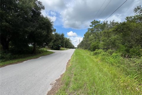 Land in Inverness, Florida № 2159880 - photo 8