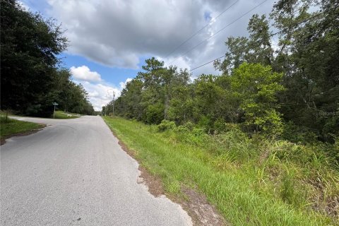 Land in Inverness, Florida № 2159880 - photo 7