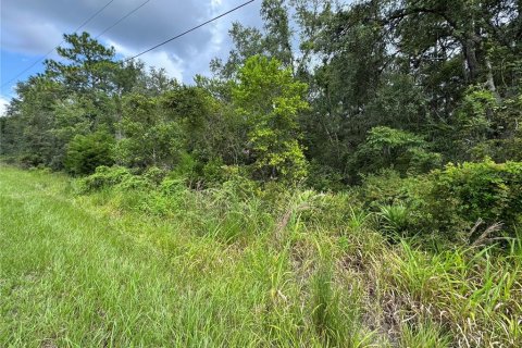 Land in Inverness, Florida № 2159880 - photo 5