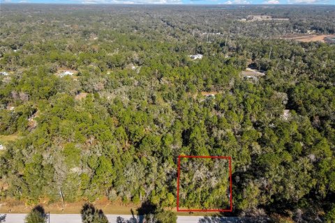 Land in Inverness, Florida № 2159880