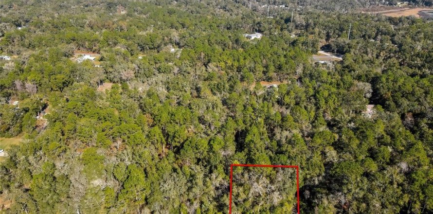 Land in Inverness, Florida № 2159880