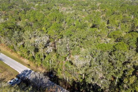 Land in Inverness, Florida № 2159880 - photo 3