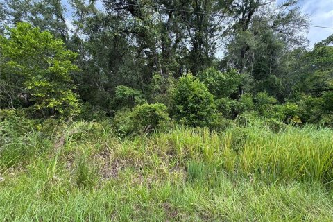 Land in Inverness, Florida № 2159880 - photo 6