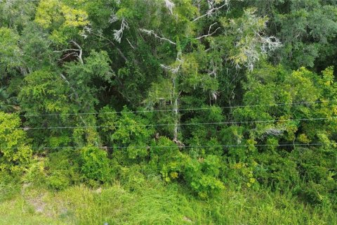 Land in Inverness, Florida № 2159880 - photo 9