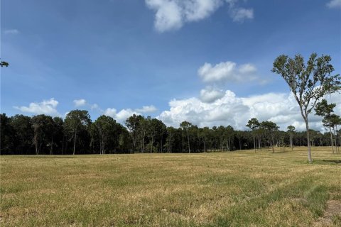 Land in Micanopy, Florida № 1916604 - photo 10