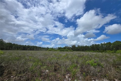 Land in Jupiter, Florida № 1706756 - photo 2
