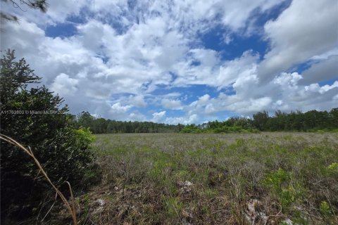 Land in Jupiter, Florida № 1706756 - photo 3
