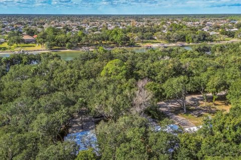 Terreno en venta en Palm Coast, Florida № 2196191 - foto 13