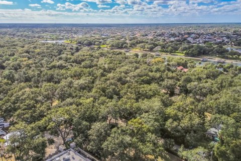 Terreno en venta en Palm Coast, Florida № 2196191 - foto 10