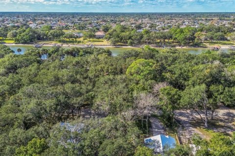 Terreno en venta en Palm Coast, Florida № 2196191 - foto 6