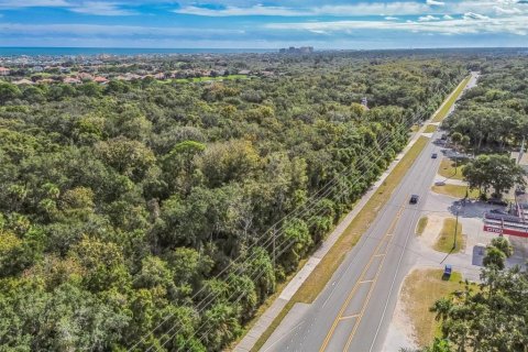 Terreno en venta en Palm Coast, Florida № 2196191 - foto 9