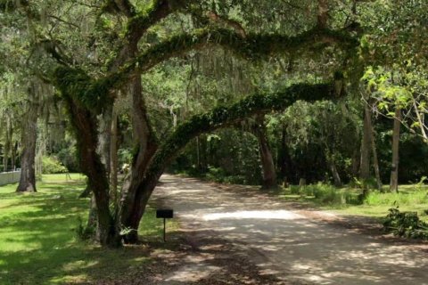 Terreno en Palm Coast, Florida № 2196191
