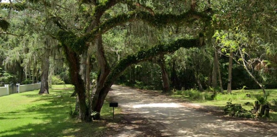 Terreno en Palm Coast, Florida № 2196191