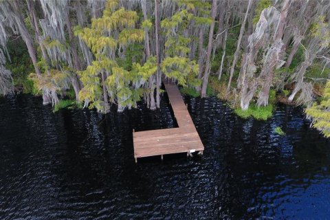 House in Groveland, Florida 4 bedrooms, 192.87 sq.m. № 1717843 - photo 6