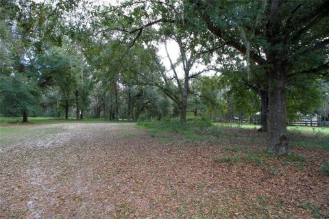 House in Groveland, Florida 4 bedrooms, 192.87 sq.m. № 1717843 - photo 19