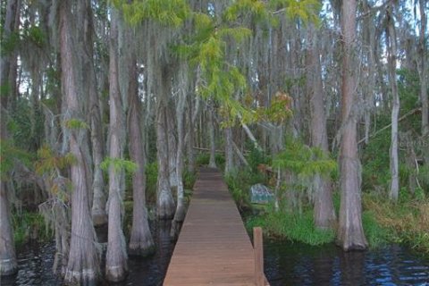House in Groveland, Florida 4 bedrooms, 192.87 sq.m. № 1717843 - photo 20