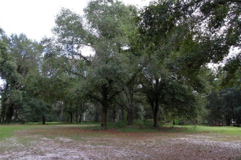 House in Groveland, Florida 4 bedrooms, 192.87 sq.m. № 1717843 - photo 18