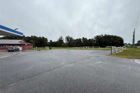 Immobilier commercial à vendre à Summerfield, Floride: 438.87 m2 № 2406619 - photo 4