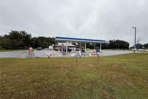 Immobilier commercial à vendre à Summerfield, Floride: 438.87 m2 № 2406619 - photo 3