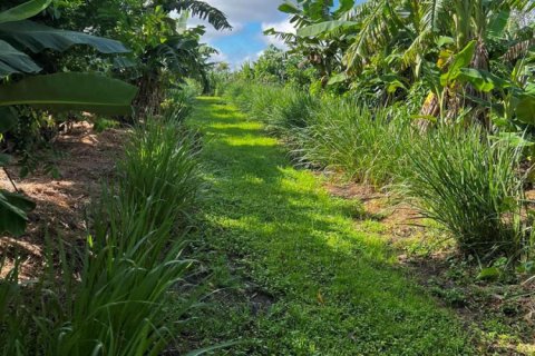 Commercial property in Loxahatchee Groves, Florida № 2188077 - photo 17