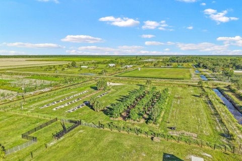 Commercial property in Loxahatchee Groves, Florida № 2188077 - photo 11