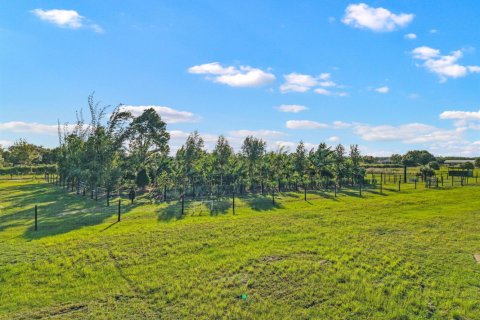 Commercial property in Loxahatchee Groves, Florida № 2188077 - photo 4