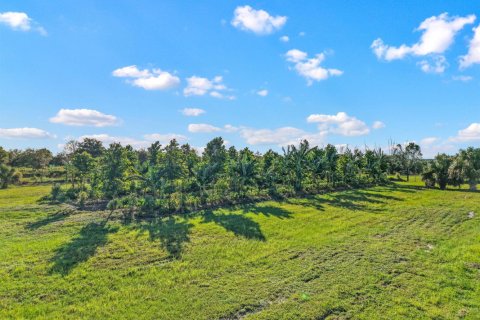 Commercial property in Loxahatchee Groves, Florida № 2188077 - photo 2