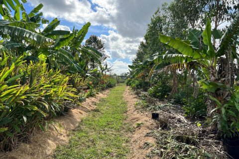 Commercial property in Loxahatchee Groves, Florida № 2188077 - photo 15