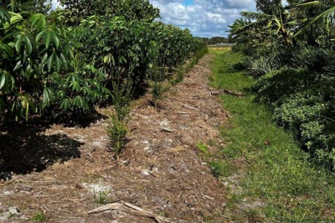 Commercial property in Loxahatchee Groves, Florida № 2188077 - photo 20