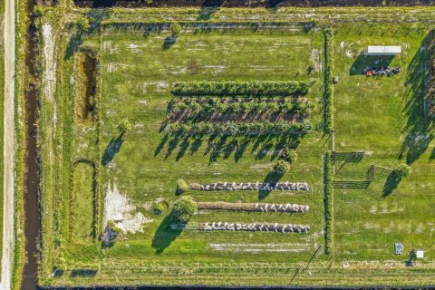 Commercial property in Loxahatchee Groves, Florida № 2188077 - photo 6
