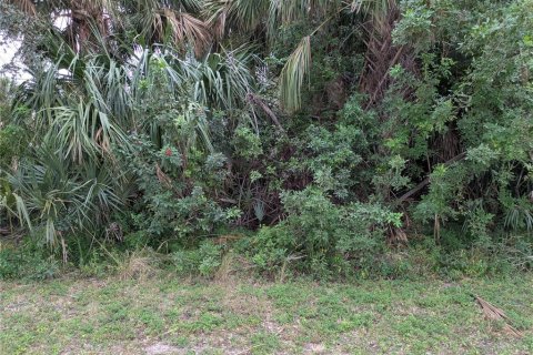 Terrain à vendre à Port Charlotte, Floride № 1721302 - photo 4