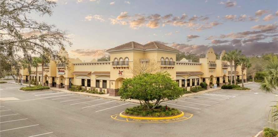 Propiedad comercial en Lady Lake, Florida 350.8 m2 № 1733790