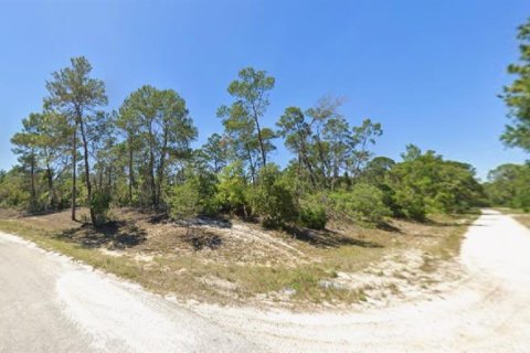 Land in Lake Placid, Florida № 2162753
