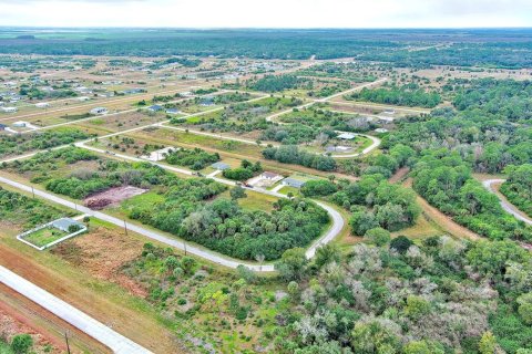 Land in LaBelle, Florida № 2160006 - photo 20